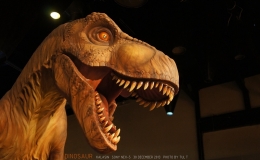 พิพิธภัณฑ์ไดโนเสาร์ภูกุ้มข้าว